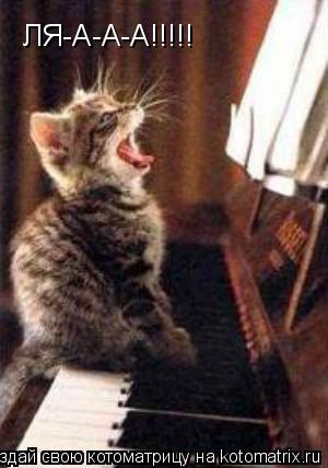 ЛЯ-А-А-А!!!!!... Котоматрица: ЛЯ-А-А-А!!!!!