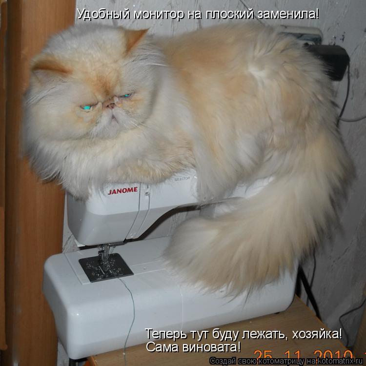 Котоматрица: Теперь тут буду лежать, хозяйка! Удобный монитор на плоский заменила! Сама виновата!