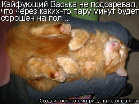 Котоматрица: Кайфующий Васька не подозревал, что через каких-то пару минут будет сброшен на пол...