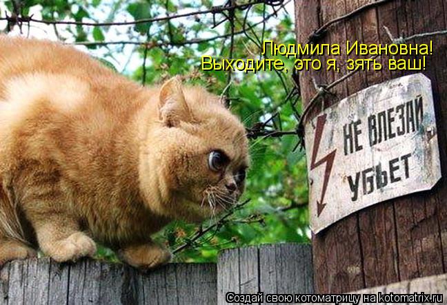 Людмила Ивановна! Выходите, это я, зять ваш!... Котоматрица: Людмила Ивановна! Выходите, это я, зять ваш!