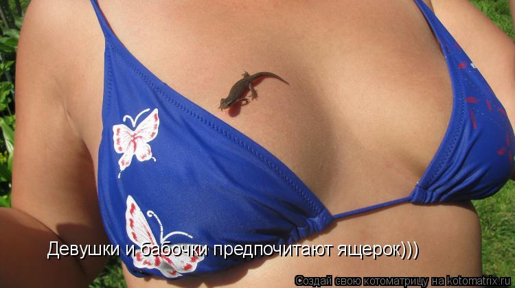 Котоматрица: Девушки и бабочки предпочитают ящерок)))