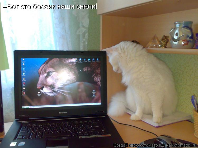 --Вот это боевик наши сняли!... Котоматрица: --Вот это боевик наши сняли!