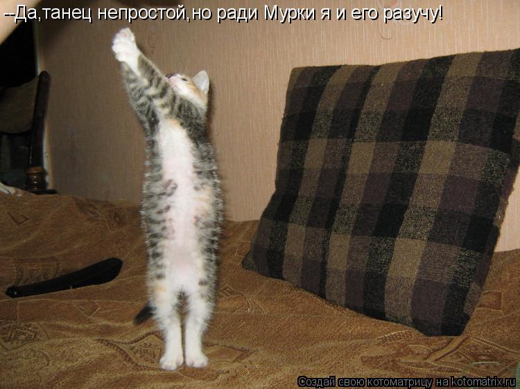 --Да,танец непростой,но ради Мурки я и его разучу!... Котоматрица: --Да,танец непростой,но ради Мурки я и его разучу!