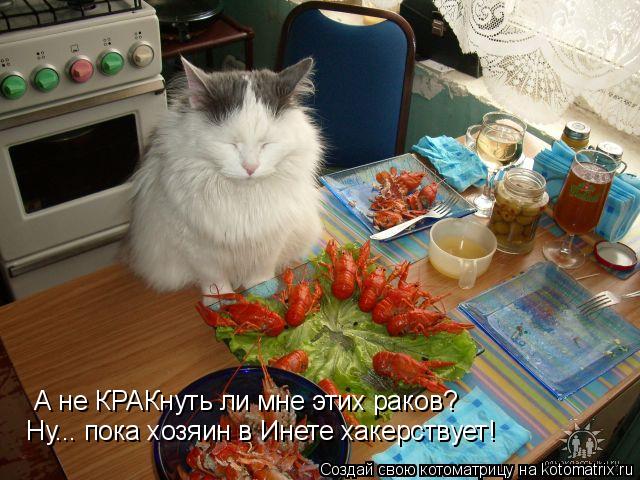 А не КРАКнуть ли мне этих раков? Ну... пока хозяин в Инете хакерствует!... Котоматрица: А не КРАКнуть ли мне этих раков? Ну... пока хозяин в Инете хакерствует!