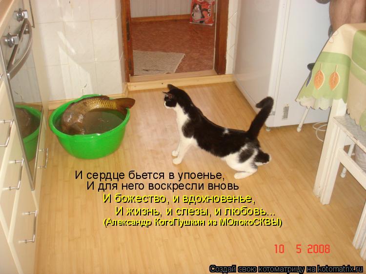 И сердце бьется в упоенье, И для него воскресли вновь И божество, и вдохновенье, И жизнь, и слезы, ... Котоматрица: И сердце бьется в упоенье, И для него воскресли вновь И божество, и вдохновенье, И жизнь, и слезы, и любовь... (Александр КотоПушкин из МОлоко