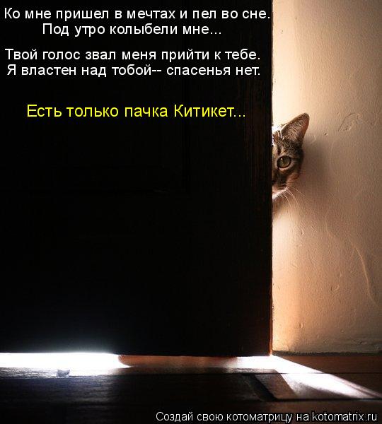 Твой голос звал меня прийти к тебе. Я властен над тобой-- спасенья нет. Ко мне пришел в мечтах и пел ... Котоматрица: Твой голос звал меня прийти к тебе. Я властен над тобой-- спасенья нет. Ко мне пришел в мечтах и пел во сне. Под утро колыбели мне... Есть только
