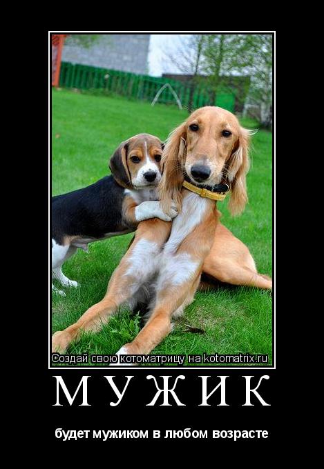 мужик будет мужиком в любом возрасте... Котоматрица: мужик будет мужиком в любом возрасте