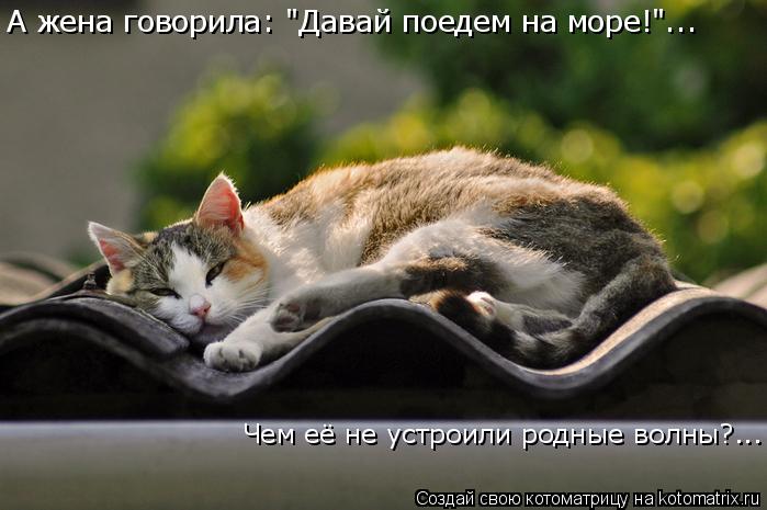 А жена говорила: "Давай поедем на море!"... Чем её не устроили родные волны?...... Котоматрица: А жена говорила: "Давай поедем на море!"... Чем её не устроили родные волны?...