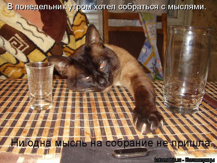 В понедельник утром хотел собраться с мыслями. Ни одна мысль на собрание не пришла...... Котоматрица: В понедельник утром хотел собраться с мыслями. Ни одна мысль на собрание не пришла...
