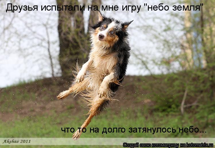 Друзья испытали на мне игру "небо земля" что то на долго затянулось небо...... Котоматрица: Друзья испытали на мне игру "небо земля" что то на долго затянулось небо...