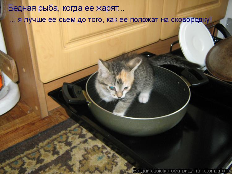 Котоматрица: Бедная рыба, когда ее жарят... ... я лучше ее сьем до того, как ее положат на сковородку!