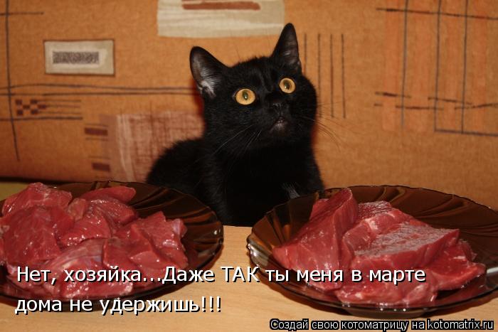 Нет, хозяйка...Даже ТАК ты меня в марте дома не удержишь!!!... Котоматрица: Нет, хозяйка...Даже ТАК ты меня в марте дома не удержишь!!!