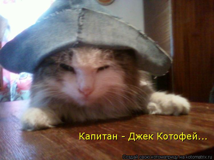 Капитан - Джек Котофей...... Котоматрица: Капитан - Джек Котофей...