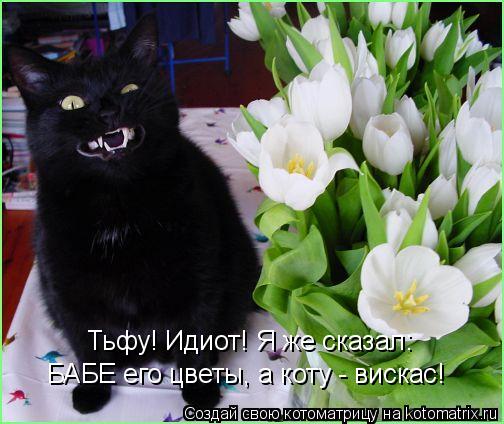 Тьфу! Идиот! Я же сказал: БАБЕ его цветы, а коту - вискас!... Котоматрица: Тьфу! Идиот! Я же сказал: БАБЕ его цветы, а коту - вискас!