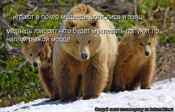 играют в покер медведь ,волк,лиса и заяц медведь говорит -кто будет мухлевать получит по наглой рыжо... Котоматрица: играют в покер медведь ,волк,лиса и заяц медведь говорит -кто будет мухлевать получит по наглой рыжой морде