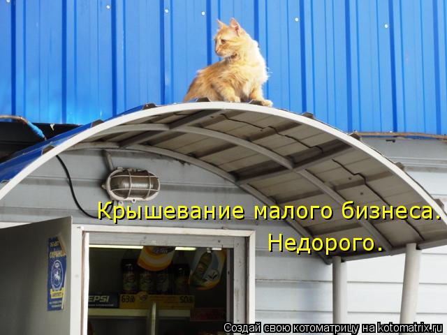 Крышевание малого бизнеса. Недорого.... Котоматрица: Крышевание малого бизнеса. Недорого.