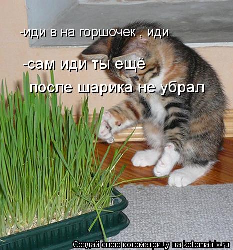 -иди в на горшочек , иди -иди в на горшочек , иди -сам иди ты ещё после шарика не убрал... Котоматрица: -иди в на горшочек , иди -иди в на горшочек , иди -сам иди ты ещё после шарика не убрал