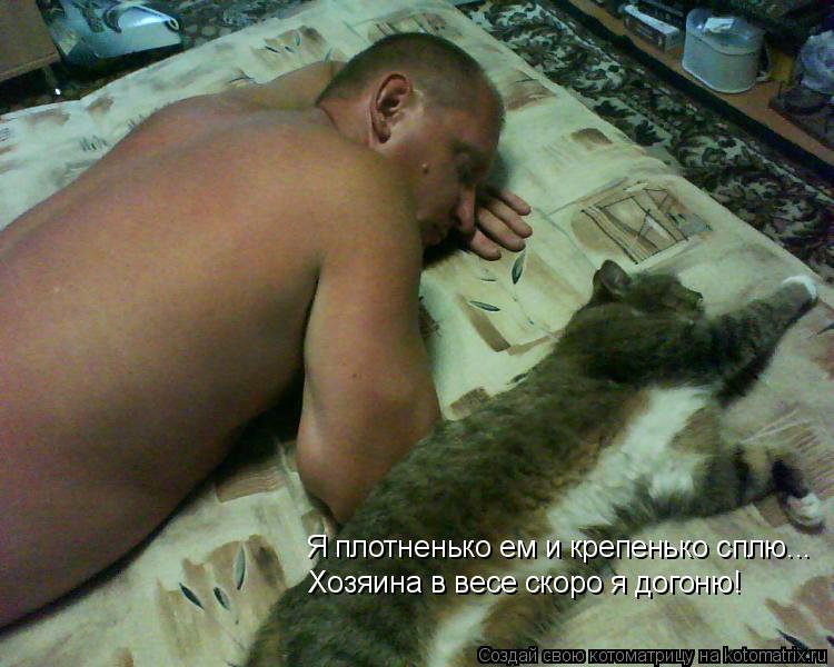 Я плотненько ем и крепенько сплю... Хозяина в весе скоро я догоню!... Котоматрица: Я плотненько ем и крепенько сплю... Хозяина в весе скоро я догоню!