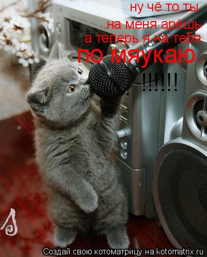 ну чё то ты на меня арёшь а теперь я на тебя по мяукаю !!!!!!... Котоматрица: ну чё то ты на меня арёшь а теперь я на тебя по мяукаю !!!!!!
