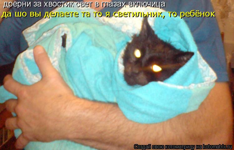 дрёрни за хвостик свет в глазах включица да шо вы делаете та то я светильник, то ребёнок... Котоматрица: дрёрни за хвостик свет в глазах включица да шо вы делаете та то я светильник, то ребёнок