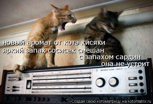 новый аромат от котэ кисяки яркий запах сосисек смешан с запахом сардин она не устоит... Котоматрица: новый аромат от котэ кисяки яркий запах сосисек смешан с запахом сардин она не устоит