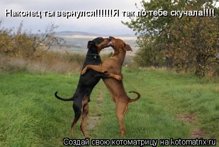 Наконец ты вернулся!!!!!!Я так по тебе скучала!!!!... Котоматрица: Наконец ты вернулся!!!!!!Я так по тебе скучала!!!!