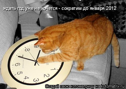 ждать год уже не хочется - сократим до января 2012... Котоматрица: ждать год уже не хочется - сократим до января 2012