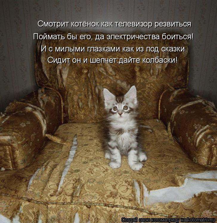 Смотрит котёнок как телевизор резвиться Смотрит котёнок как телевизор резвиться Поймать бы его, да эл... Котоматрица: Смотрит котёнок как телевизор резвиться Смотрит котёнок как телевизор резвиться Поймать бы его, да электричества боиться! И с милыми глазк