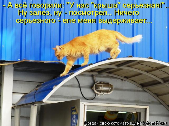- А всё говорили: "У нас "крыша" серьезная!"... Ну залез, ну - посмотрел.. Ничего серьезного - еле м... Котоматрица: - А всё говорили: "У нас "крыша" серьезная!"... Ну залез, ну - посмотрел.. Ничего серьезного - еле меня выдерживает...