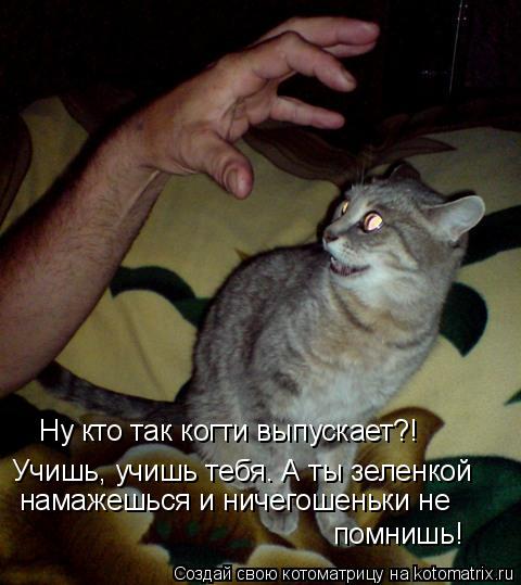 Ну кто так когти выпускает?! Учишь, учишь тебя. А ты зеленкой намажешься и ничегошеньки не помнишь!... Котоматрица: Ну кто так когти выпускает?! Учишь, учишь тебя. А ты зеленкой намажешься и ничегошеньки не помнишь!