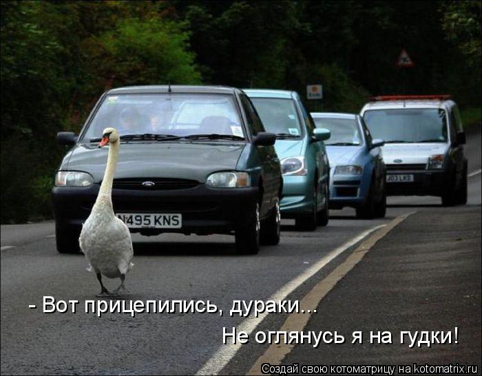 - Вот прицепились, дураки... Не оглянусь я на гудки!... Котоматрица: - Вот прицепились, дураки... Не оглянусь я на гудки!