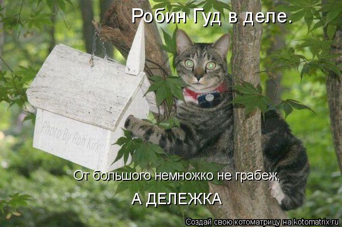 Робин Гуд в деле. От большого немножко не грабеж, А ДЕЛЕЖКА... Котоматрица: Робин Гуд в деле. От большого немножко не грабеж, А ДЕЛЕЖКА