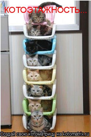 КОТОЭТАЖНОСТЬ...... Котоматрица: КОТОЭТАЖНОСТЬ...