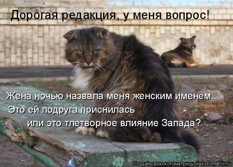 Дорогая редакция, у меня вопрос! Жена ночью назвала меня женским именем. Это ей подруга приснилась и... Котоматрица: Дорогая редакция, у меня вопрос! Жена ночью назвала меня женским именем. Это ей подруга приснилась или это тлетворное влияние Запада?
