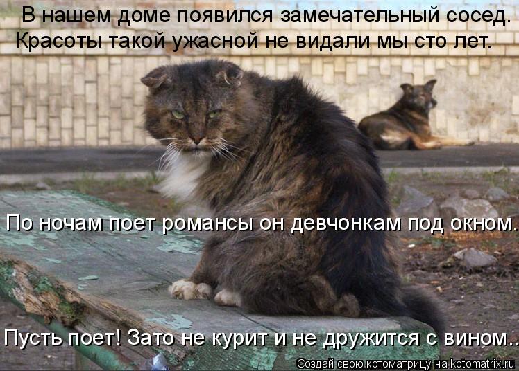 В нашем доме появился замечательный сосед. Красоты такой ужасной не видали мы сто лет. По ночам поет ... Котоматрица: В нашем доме появился замечательный сосед. Красоты такой ужасной не видали мы сто лет. По ночам поет романсы он девчонкам под окном. Пусть п