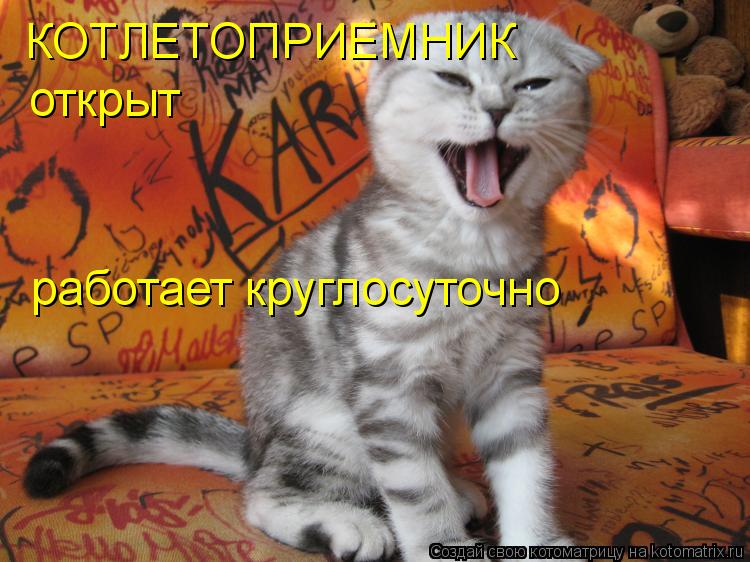 КОТЛЕТОПРИЕМНИК открыт работает круглосуточно... Котоматрица: КОТЛЕТОПРИЕМНИК открыт работает круглосуточно
