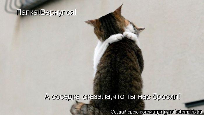 Котоматрица: Папка!Вернулся! А соседка сказала,что ты нас бросил!