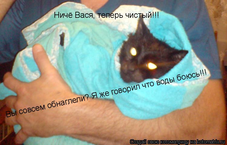 Котоматрица: Вы совсем обнаглели? Я же говорил что воды боюсь!!! Ничё Вася, теперь чистый!!!