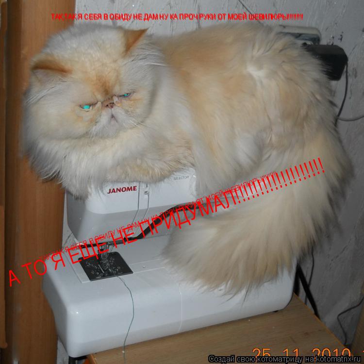 Котоматрица: ТАК,ТАК Я СЕБЯ В ОБИДУ НЕ ДАМ НУ КА ПРОЧ РУКИ ОТ МОЕЙ ШЕВИЛЮРЫ!!!!!!!!! ТАК,ТАК Я СЕБЯ В ОБИДУ НЕ ДАМ НУ КА ПРОЧ РУКИ ОТ МОЕЙ ШЕВИЛЮРЫ!!!!!!!!! ТАК,ТА