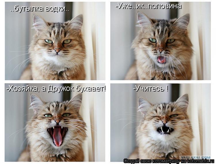 -Уже..ик..половина -Хозяйка, а Дружок бухаает! -Хозяйка, а Дружок бухаает! ..бутылка водки.. -Учитесь... Котоматрица: -Уже..ик..половина -Хозяйка, а Дружок бухаает! -Хозяйка, а Дружок бухаает! ..бутылка водки.. -Учитесь !