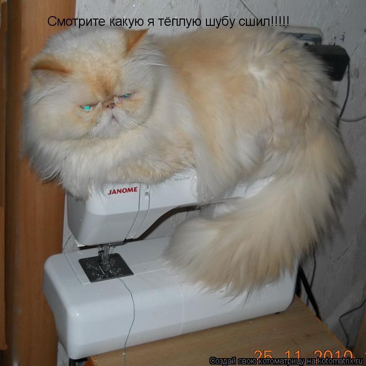 Смотрите какую я тёплую шубу сшил!!!!!... Котоматрица: Смотрите какую я тёплую шубу сшил!!!!!