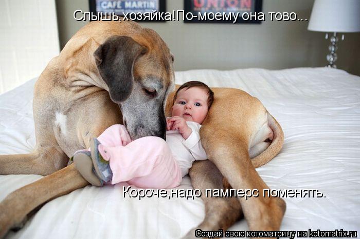 Слышь,хозяйка!По-моему она тово... Короче,надо памперс поменять.... Котоматрица: Слышь,хозяйка!По-моему она тово... Короче,надо памперс поменять.