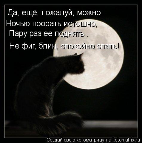 А Да, ещё, пожалуй, можно Ночью поорать истошно, Пару раз ее поднять – Не фиг, блин, спокойно спать!... Котоматрица: А Да, ещё, пожалуй, можно Ночью поорать истошно, Пару раз ее поднять – Не фиг, блин, спокойно спать!