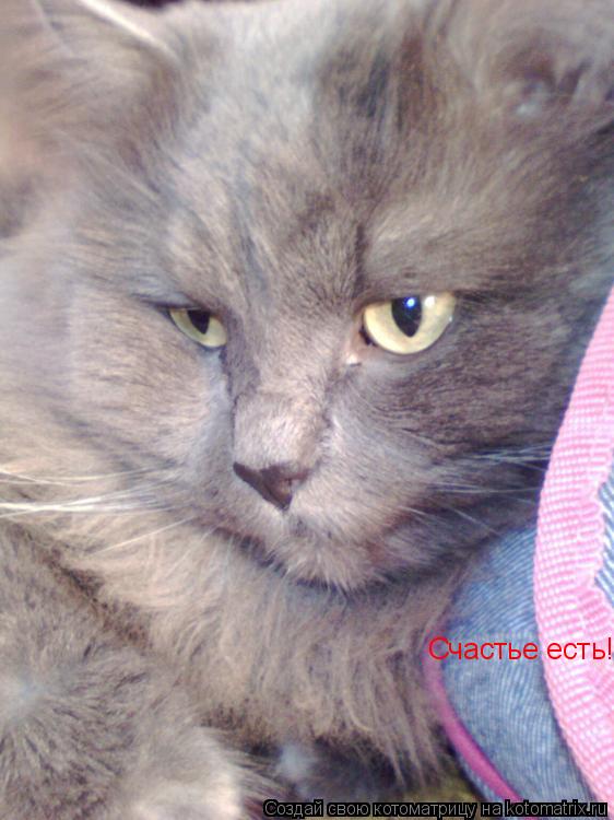 Счастье есть!... Котоматрица: Счастье есть!