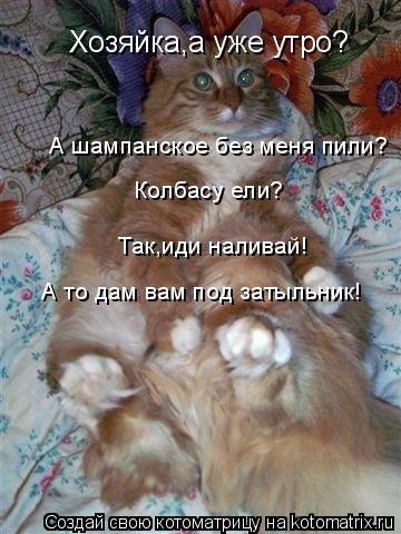 Хозяйка,а уже утро? А шампанское без меня пили? Колбасу ели? Так,иди наливай! А то дам вам под затыль... Котоматрица: Хозяйка,а уже утро? А шампанское без меня пили? Колбасу ели? Так,иди наливай! А то дам вам под затыльник!
