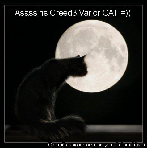 Котоматрица: Asassins Creed3:Varior CAT =)) Asassins Creed3:Varior CAT =))