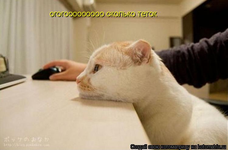 огогооооооооо сколько теток... Котоматрица: огогооооооооо сколько теток