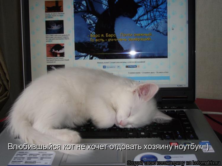 Влюбившыйся кот не хочет отдовать хозяину ноутбук=)... Котоматрица: Влюбившыйся кот не хочет отдовать хозяину ноутбук=)