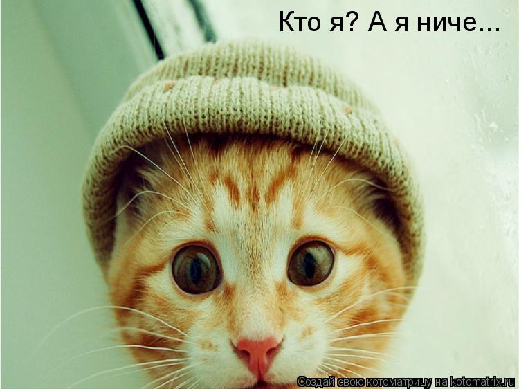 Кто я? А я ниче...... Котоматрица: Кто я? А я ниче...