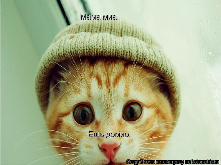Мама миа... Ешь домио...... Котоматрица: Мама миа... Ешь домио...
